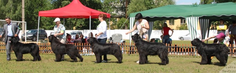 Фотография № 130661