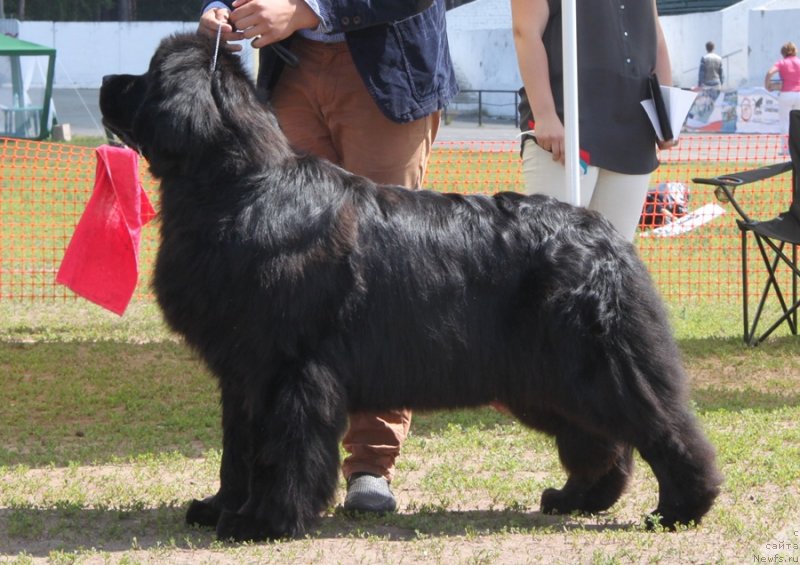 Фотография № 130664