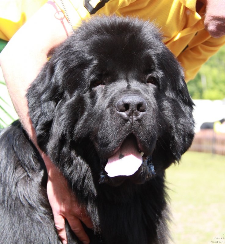 Фотография № 130669