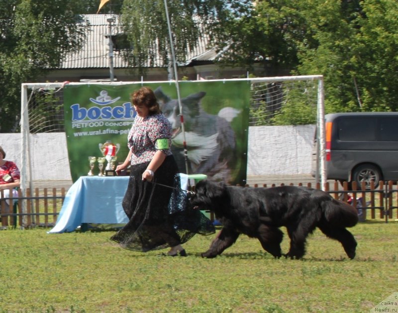 Фотография № 130670