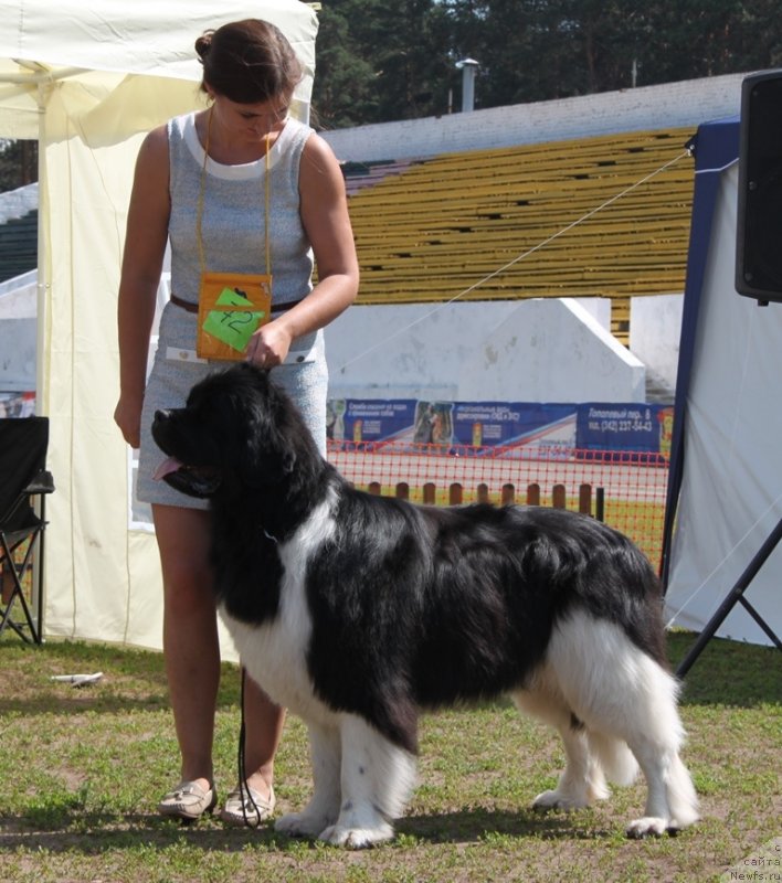 Фотография № 130681