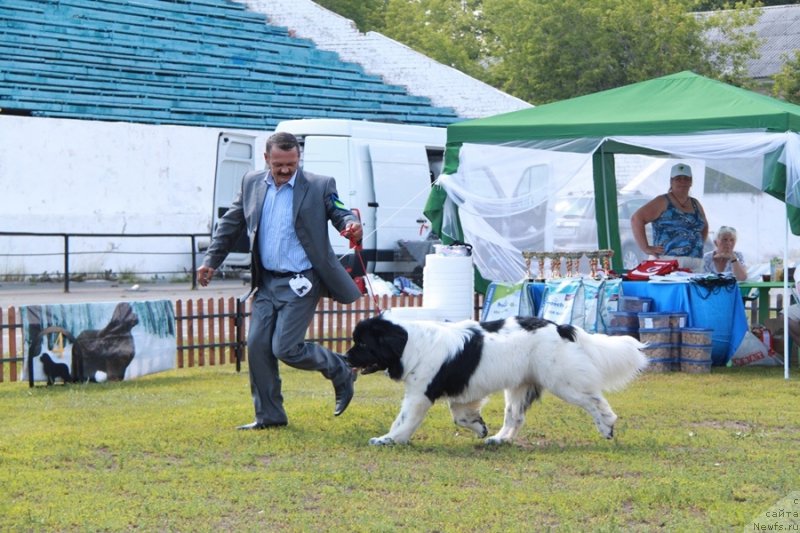 Фотография № 130688