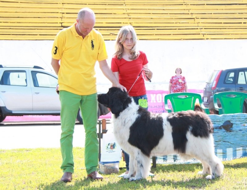 Фотография № 130692