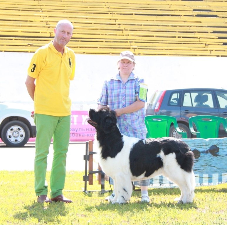 Фотография № 130693