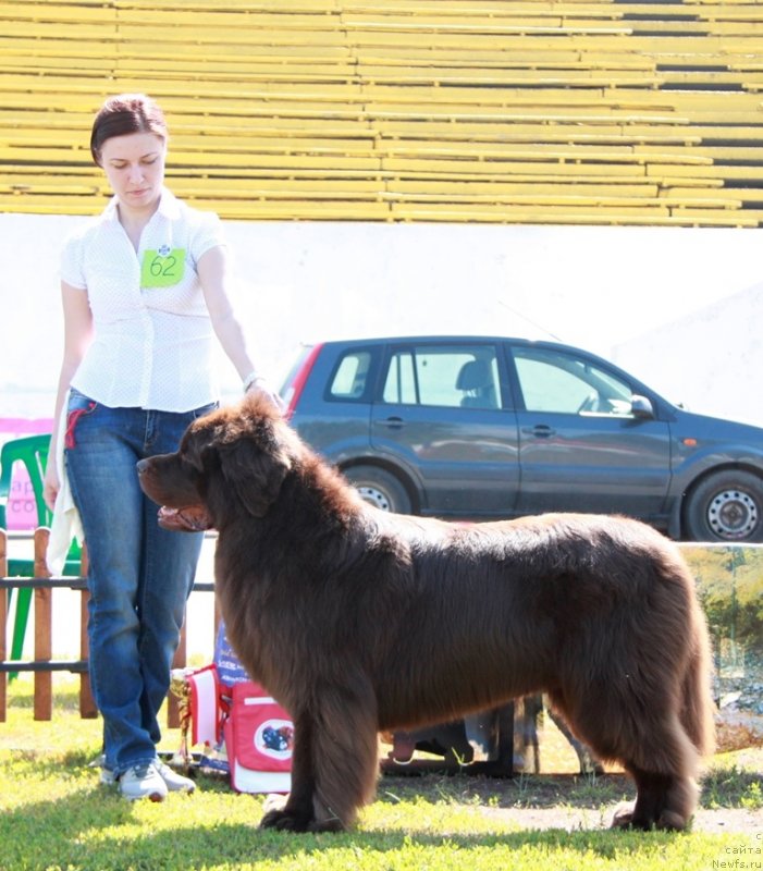 Фотография № 130695