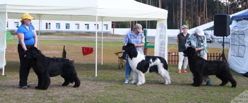 Фотография № 130699