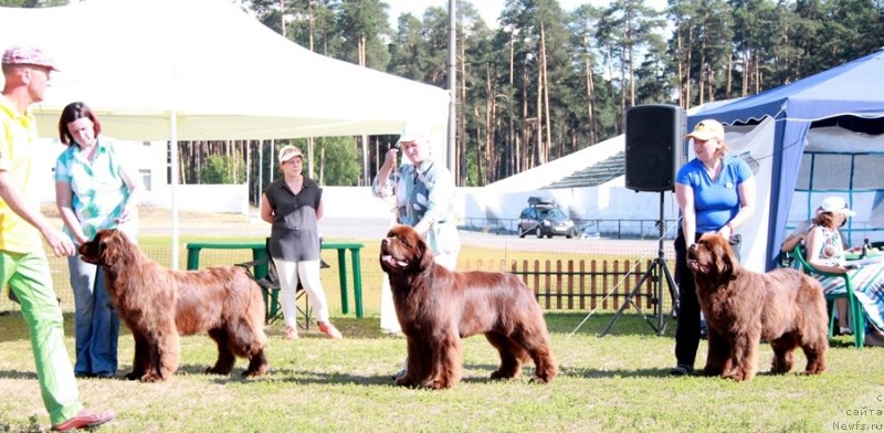 Фотография № 130701