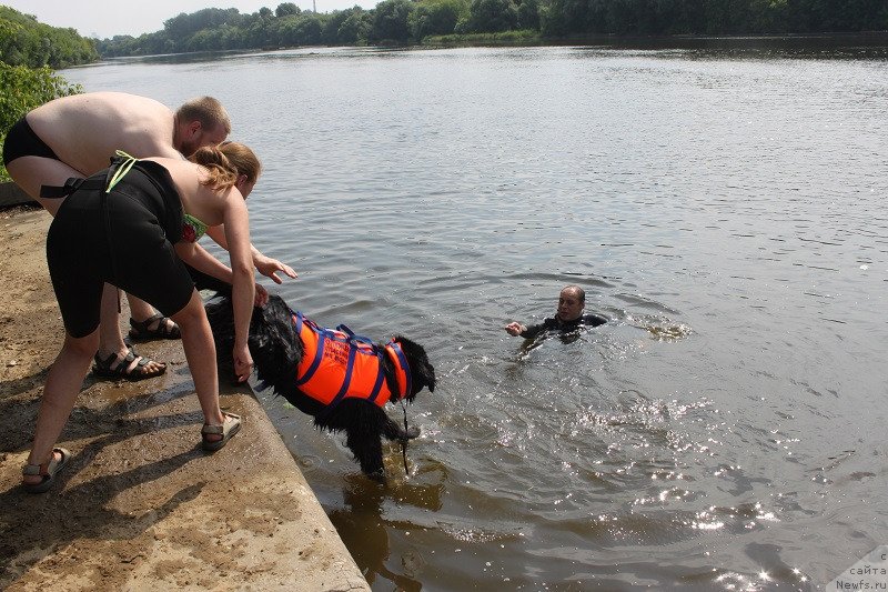 Фотография № 130705