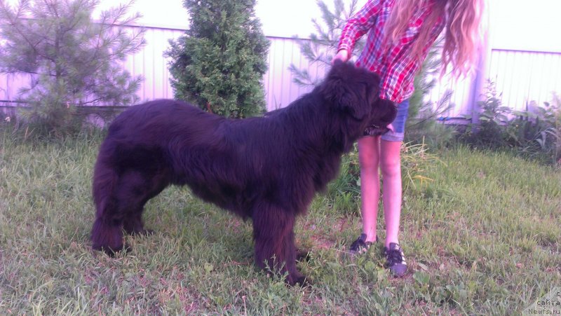 Фото: [d11196] и Валерия.