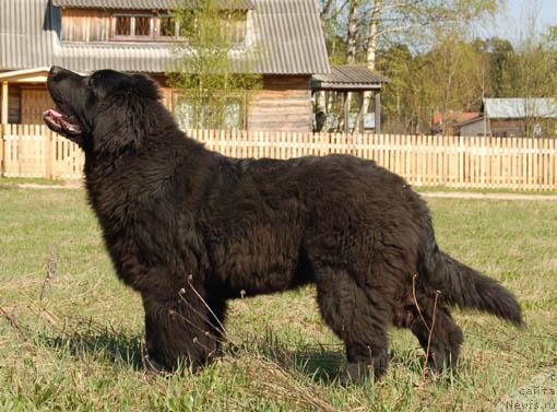 Фотография № 13079