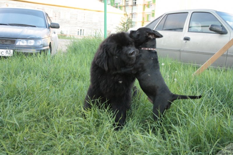 Фотография № 130799