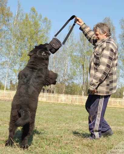 Фотография № 13080