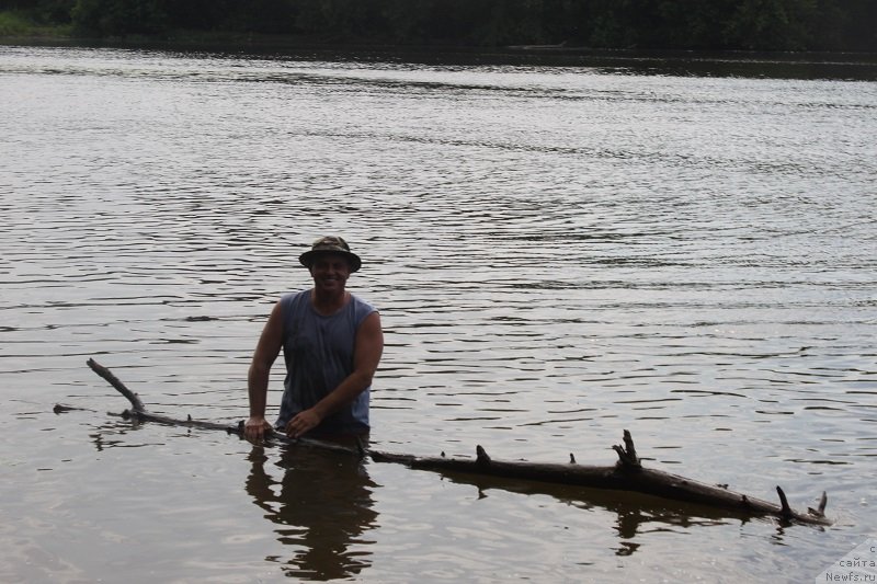 Фотография № 130831