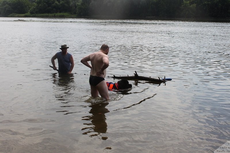 Фотография № 130832