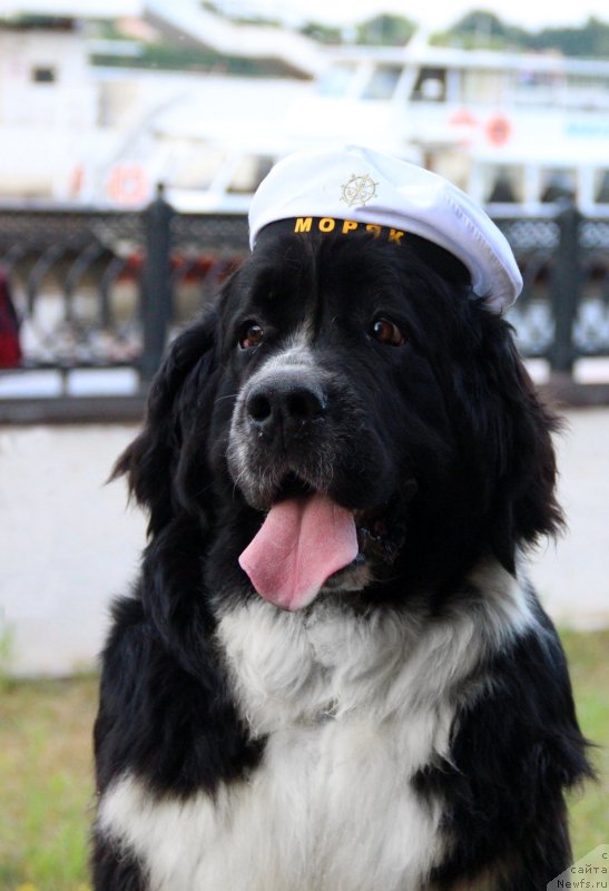 Фотография № 130893