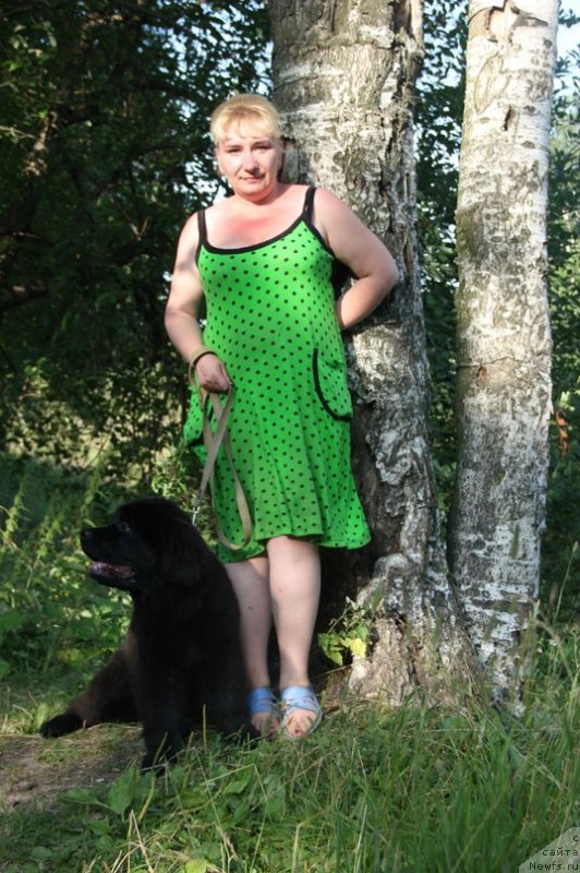 Фото: ньюфаундленд Черная Мафия Зоом Инто Ме (Chernaya Mafia Zoom Into Me)