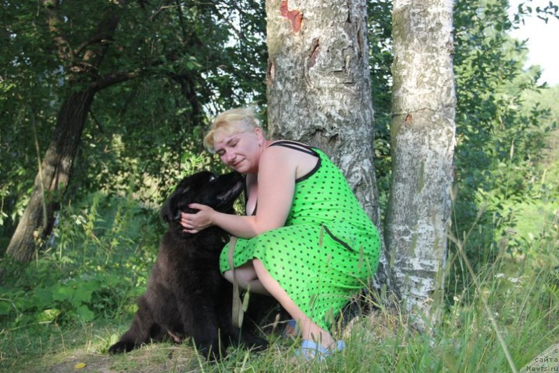 Фото: ньюфаундленд Черная Мафия Зоом Инто Ме (Chernaya Mafia Zoom Into Me), Марина Богданова