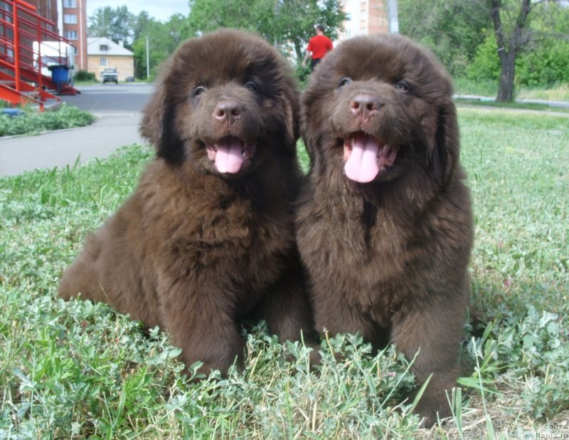 Фотография № 130943