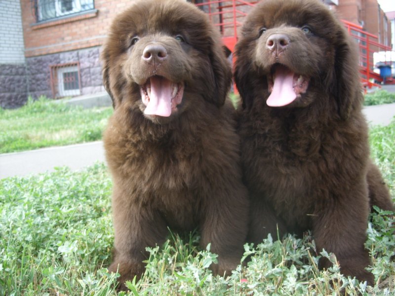 Фотография № 130944