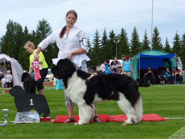 Фотография № 130948