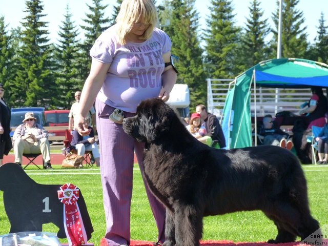 Фотография № 130949