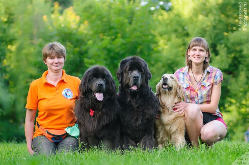 Фотография № 130964