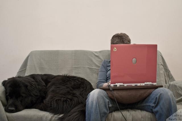 Фото: ньюфаундленд Потап Парис