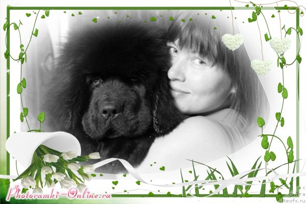 Фотография № 131015