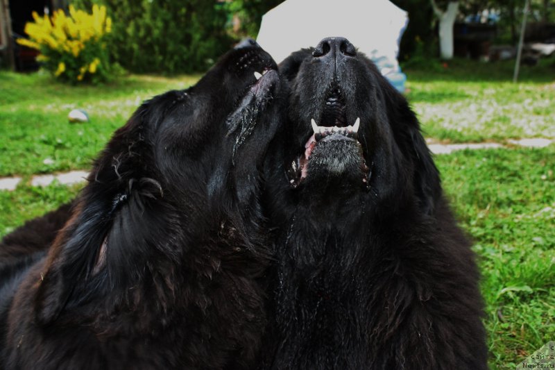 Фотография № 131036