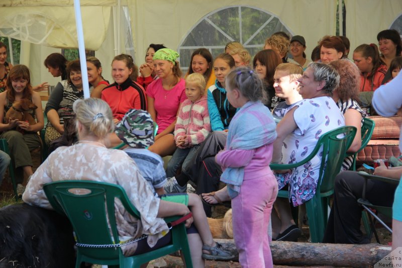 Фотография № 131055