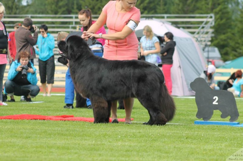 Фотография № 131094