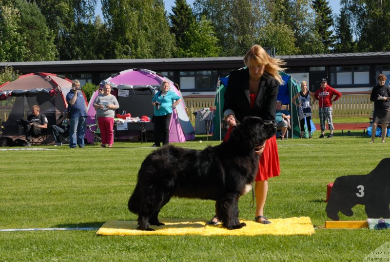 Фотография № 131096