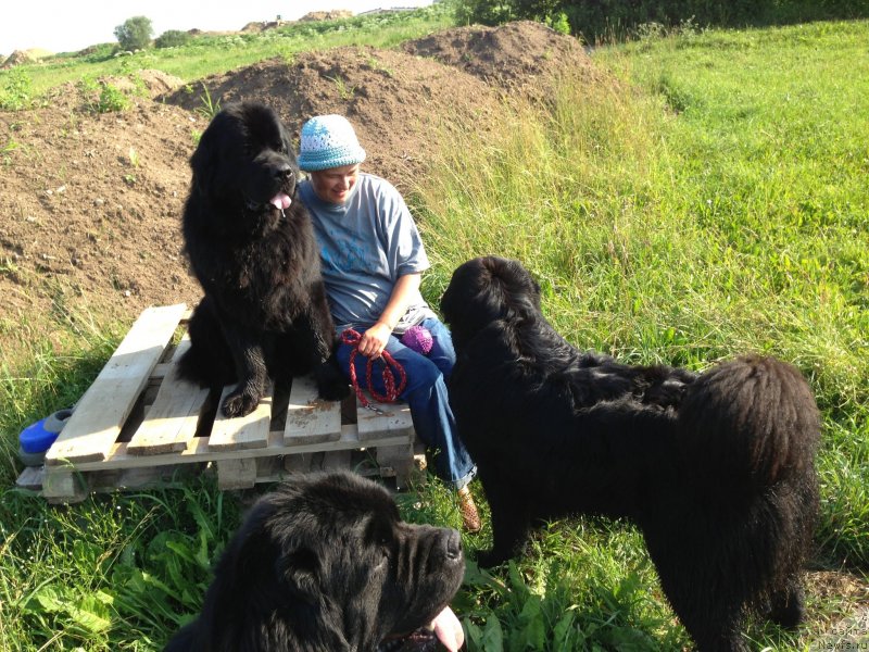 Фотография № 131099