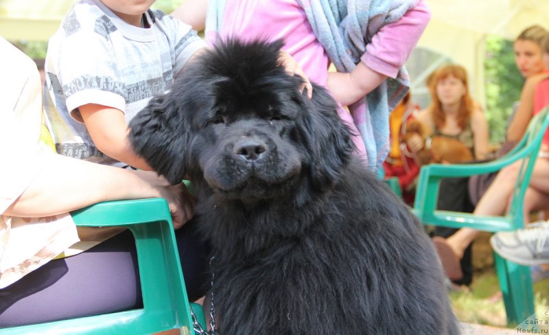 Фотография № 131111