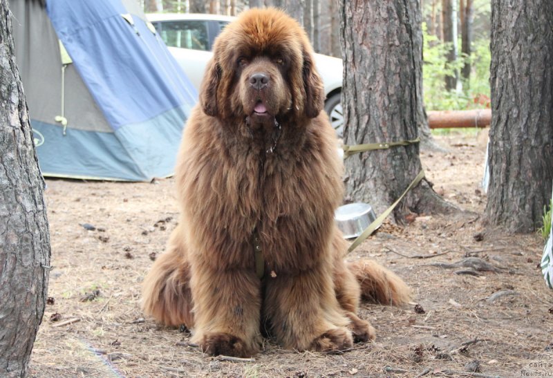 Фотография № 131112