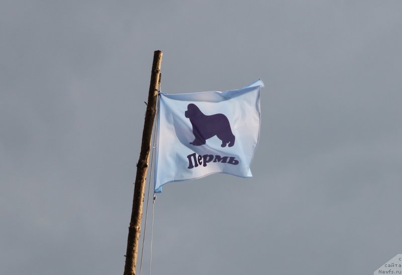 Фотография № 131137