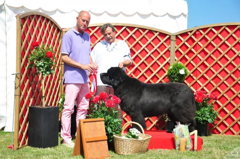 Фотография № 131164