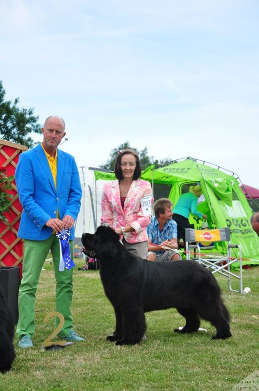 Фотография № 131165