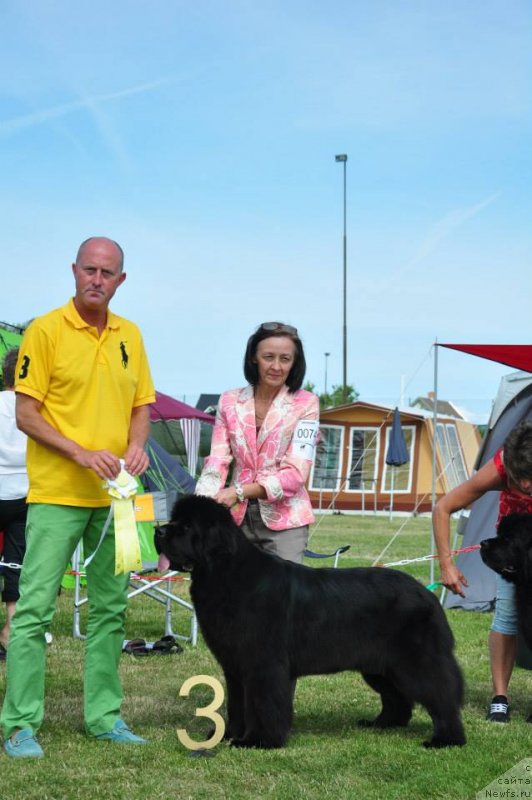 Фотография № 131166