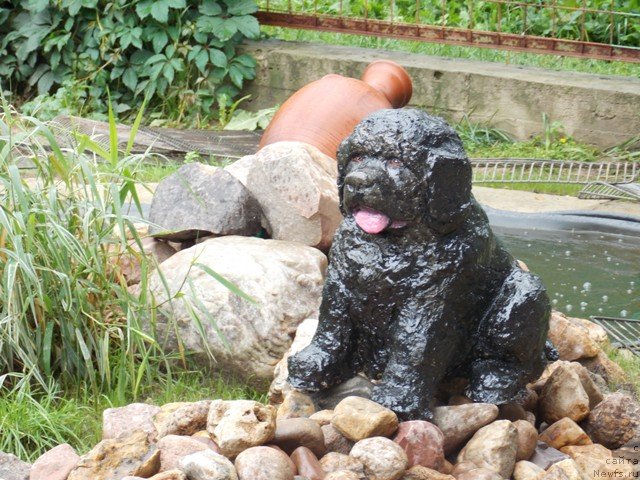 Фотография № 131183