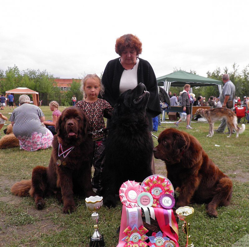 Фотография № 131230