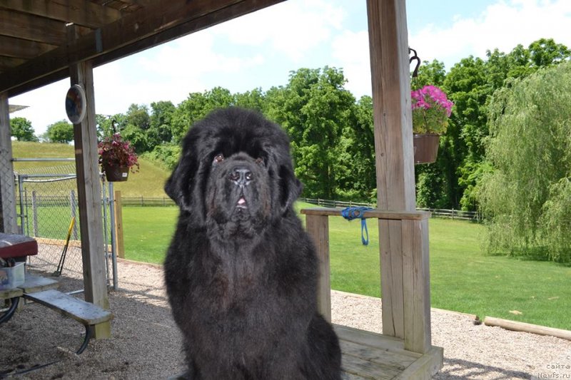 Фотография № 131271