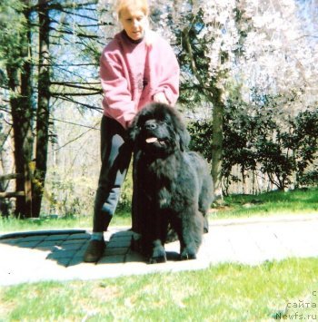 Фотография № 131272