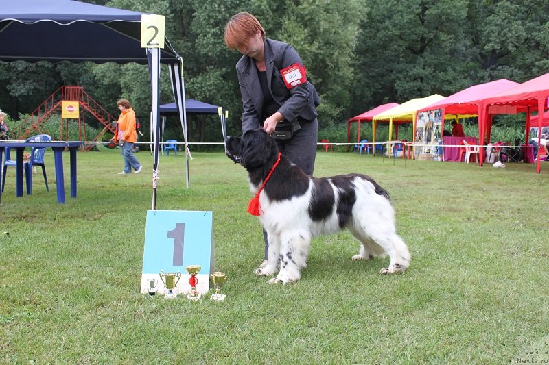 Фотография № 131317