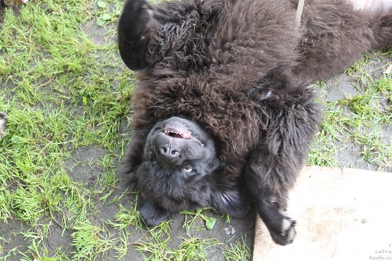 Фотография № 131324