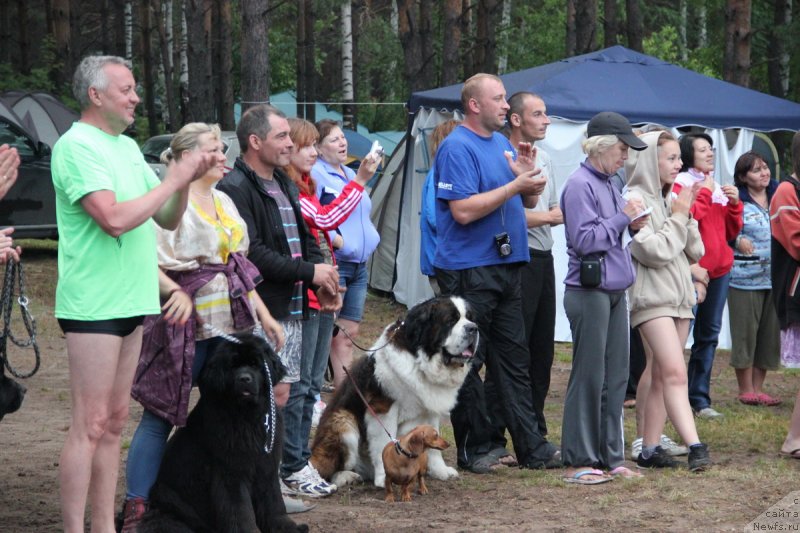 Фотография № 131331