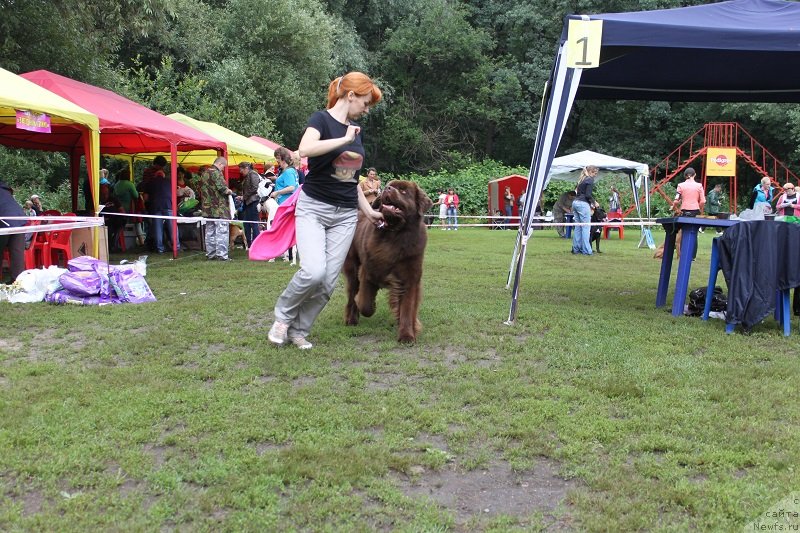 Фотография № 131342