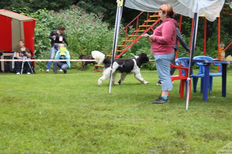 Фотография № 131345