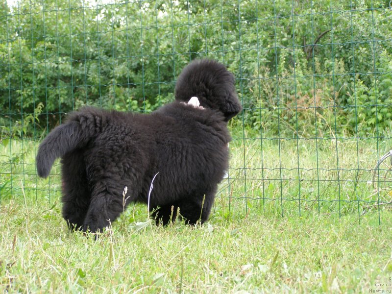 Фотография № 131364