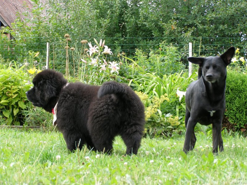 Фотография № 131365